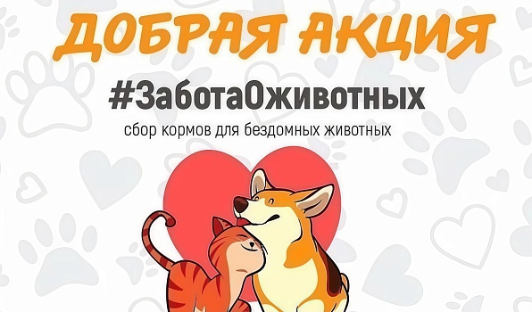 Добро.Центр ГИПУ проводит сбор помощи для приюта животных