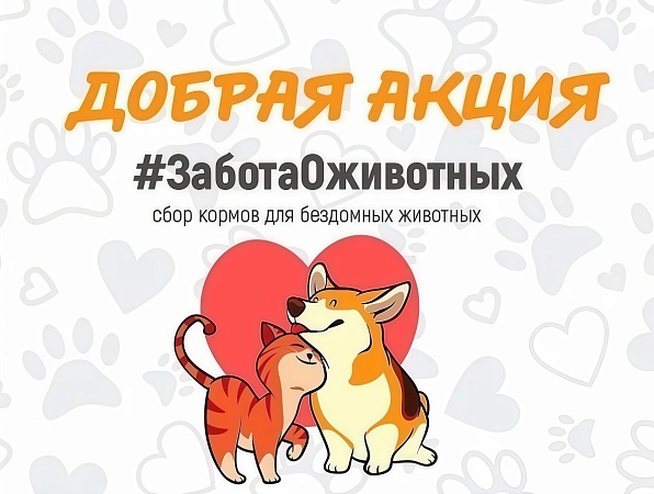 Добро.Центр ГИПУ проводит сбор помощи для приюта животных