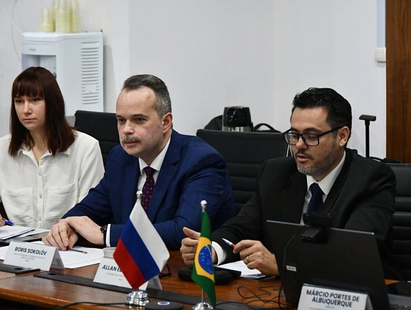 Короленковский университет разработает адаптированные учебники по русскому языку для бразильских школьников